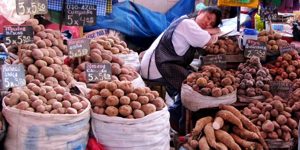 Mercado Central Arequipa Peru