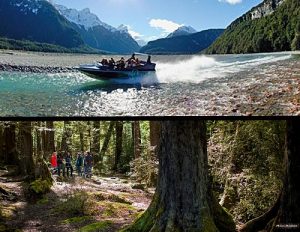 NEW ZEALAND Dart River jet boat forest walk