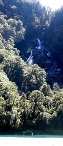 NEW ZEALAND Roaring Billy Falls near Haast